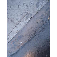 Daniel Sansome
