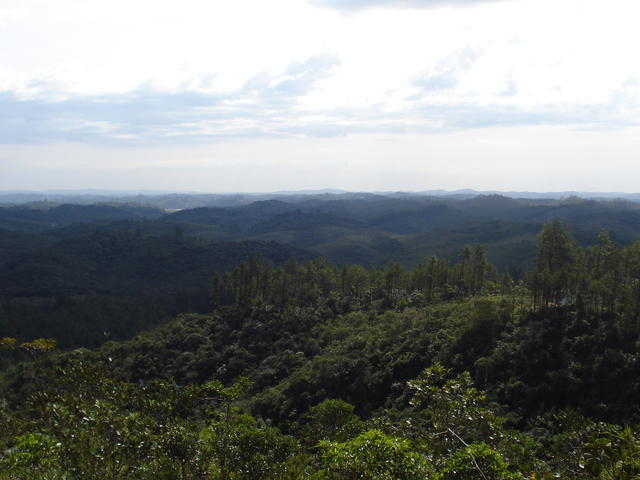 Morros da Serra do Mar