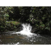 Nascente Embu-Guaçu