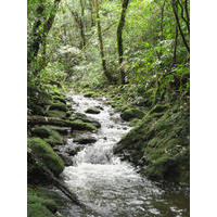 DSC01105v