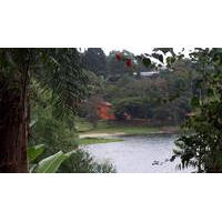 Cátia Regina Dória