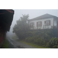 16_L1006695