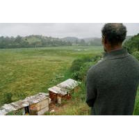 VISTA