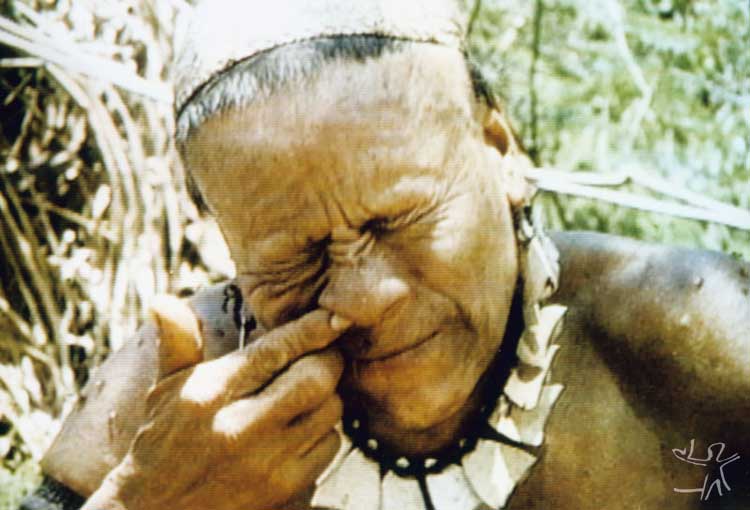 Kunibu aspirando pó de angico. Foto: Adelino de Lucena Mendes, 2002.