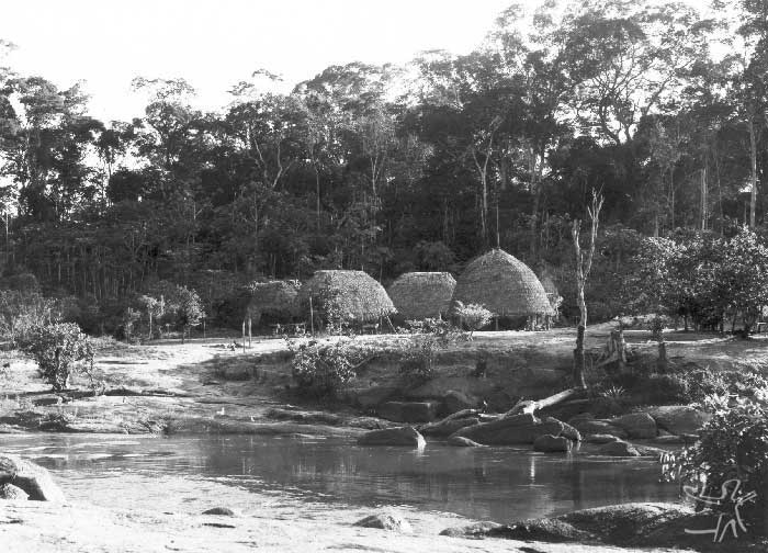 Vista parcial da aldeia Likirekiclepau, no rio Citaré. O local estava sendo abondonado depois da morte de seu chefe. Foto: Daniel Schoepf, 1972