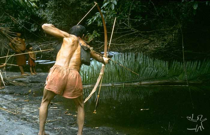Tiwawi-no flechando um trairão. Foto: Eduardo Viveiros de Castro, 1991