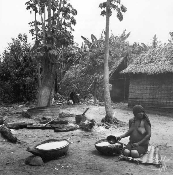 Mastigação de Cauim de milho (Mitähi). Foto: Eduardo Viveiros de Castro, 1982.