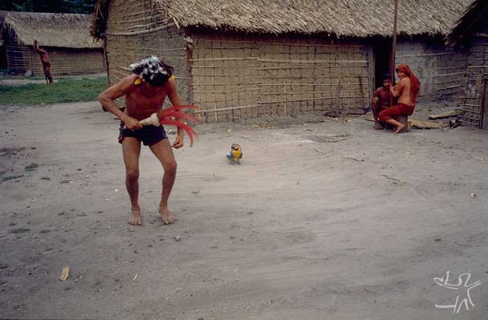 Pajé cantando em uma cauinagem. Foto: Eduardo Viveiros de Castro, 1982