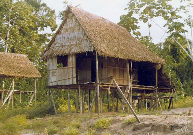 Habitação ashaninka no alto Juruá. Foto: Arno Vogel, 1978.