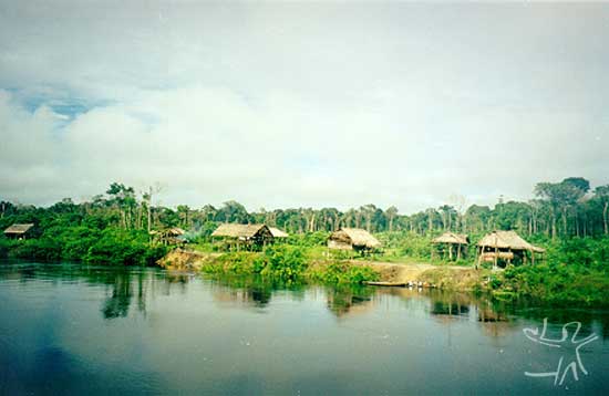Vista parcial da aldeia Visagem, localizada à margem direita do rio Cuniuá. Foto: Rodrigo Padua Rodrigues Chaves, 1999.