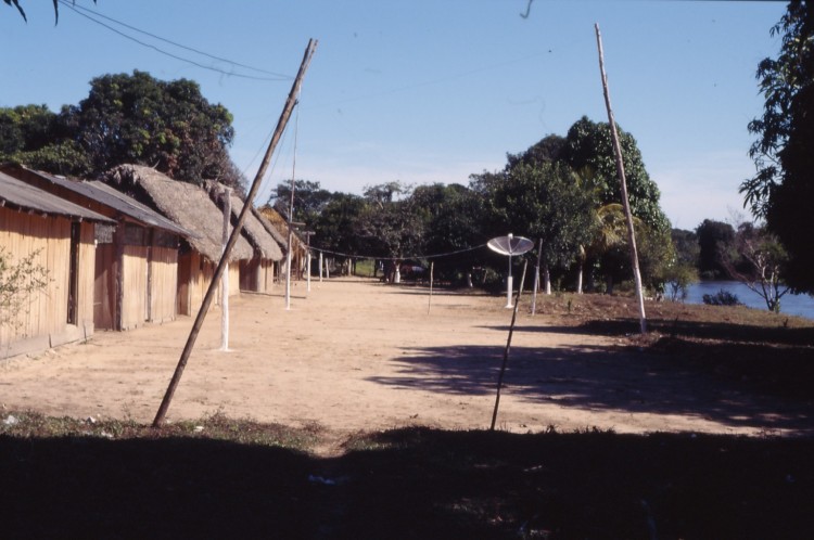 Cajuí no Rio Branco. Foto: Hein van der Voort, 2001