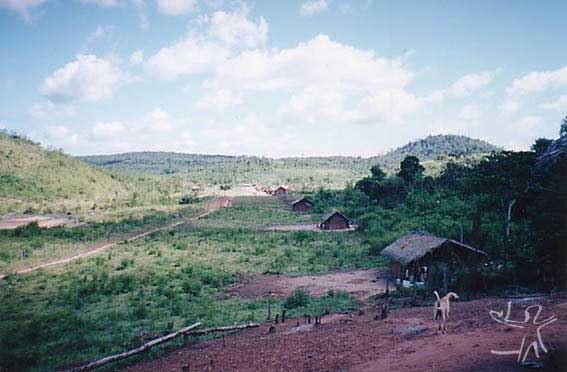 Guajajara - Indigenous Peoples in Brazil