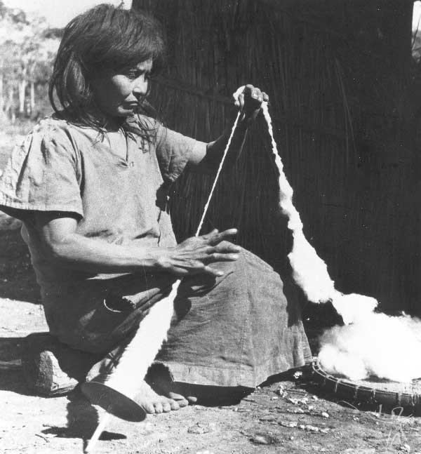 Mulher kaiowa fiando algodão. Foto: Egon Shaden, 1949.