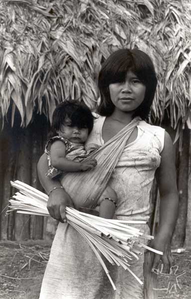 Guarani Mbya - Povos Indígenas no Brasil