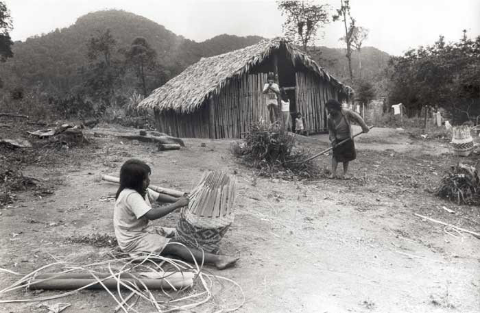 Comunidade Guarani Mbyá de Bracuí, em Angra dos Reis (RJ). Foto: Milton Guran, 1988.