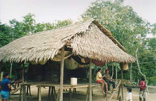 Habitação Jamamadi da aldeia Pauzinho (TI Jarawara Jamamadi Kanamanti). Foto: Peter Schröder/ PPTAL, 2000.