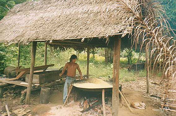 Torrando farinha na aldeia Casa Nova dos Jarawara. Foto: Peter Schröder, 2000/ PPTAL