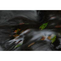 AAA_4546