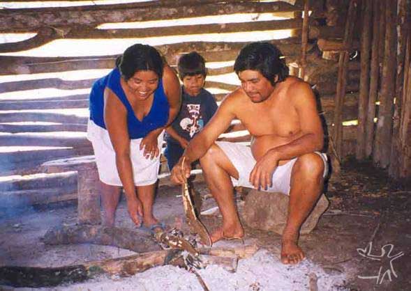 Família kaingang fazendo fogo de chão na TI Apucaraninha (PR). Foto: Kimiye Tommasino, 1999.