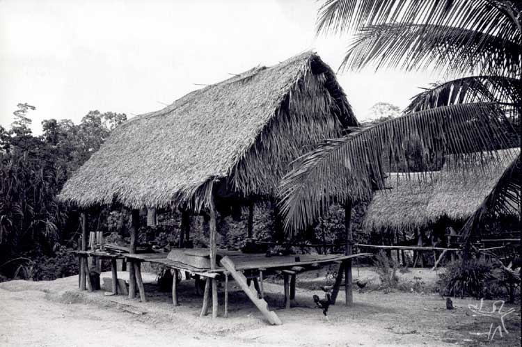 Habitação kaxinawá. Foto: Terri Vale de Aquino, 1981.