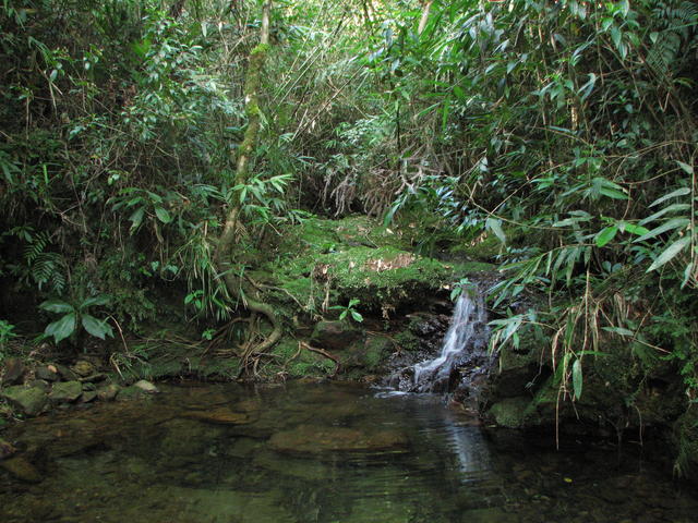 Nascente do rio Embu-Guaçu
