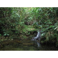 Nascente do rio Embu-Guaçu