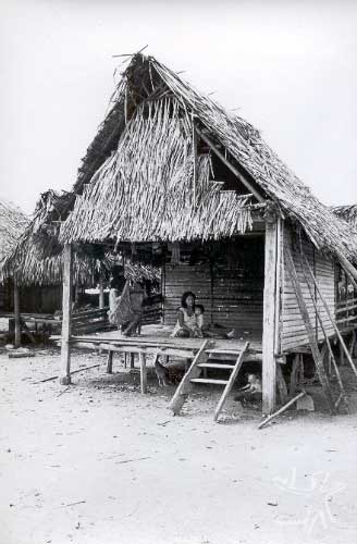 Casa na aldeia kulina de Santo Amaro, na nascente do rio Chaudess. Foto: Eduardo Viveiros de Castro, 1978.