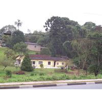 Gabrielli