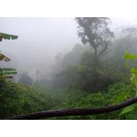 Paranapiacaba