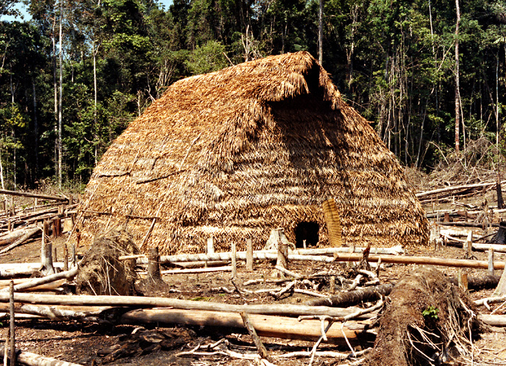 Maloca tradicional dos Matis. Igarapé Boeiro, rio Ituí. Terra Indígena Vale do Javari. Amazonas, 1985. Foto: Isaac Amorim Filho