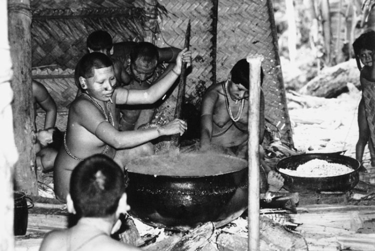 Índia Matis preparando bebida fermentada de milho. Terra Indígena Vale do Javari. Amazonas, 1985. Fonte: Philippe Eriks