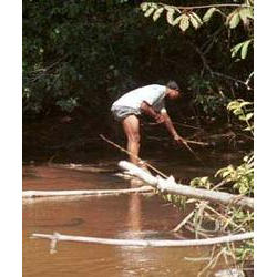 Pesca no Igarapé utilizando arco e flecha. Foto: Jesco von Puttkamer/acervo IGPHA-UCG, 1969. paiter_21