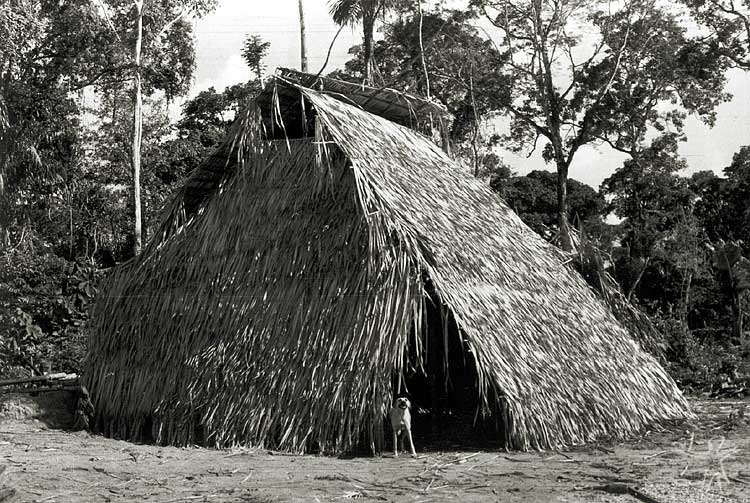 Habitação no Igarapé Lontra. Foto: Antônio Carlos Magalhães, 1975.