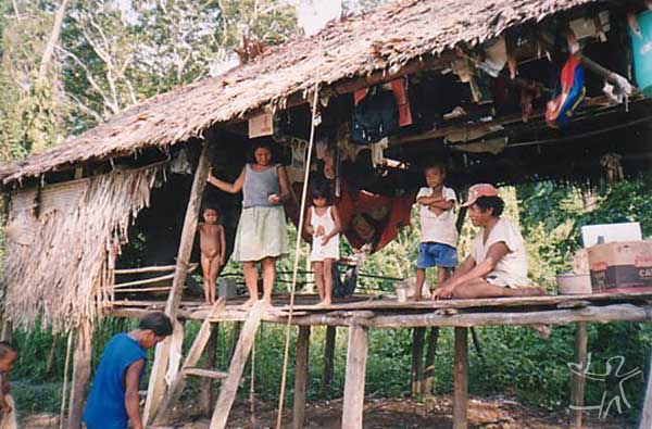 Habitação Paumari na aldeia Santa Rita (Paumari do Lago Marahã). Foto: Peter Schröder/PPTAL , 2000