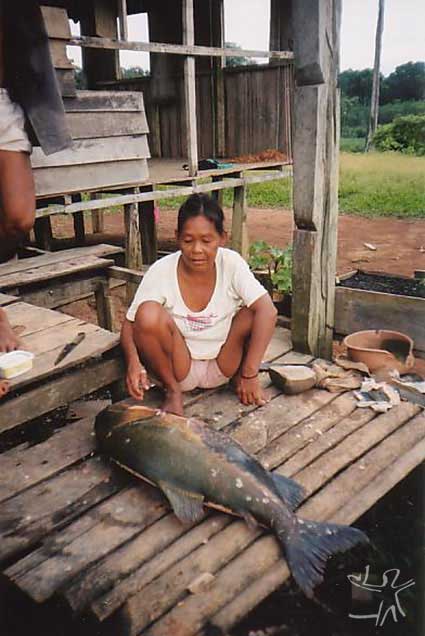 Mulher Paumari com tambaqui na aldeia Araçá (Paumari do Rio Ituxi). Foto: Peter Schröder/PPTAL, 2000