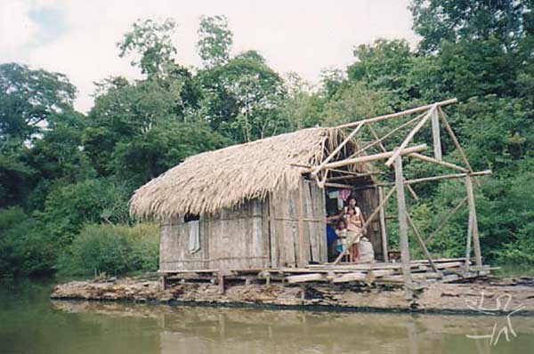 Flutuantes na aldeia Estirão no Lago Marahã (Paumari do Lago Marahã). Foto: Peter Schröder/PPTAL, 2000