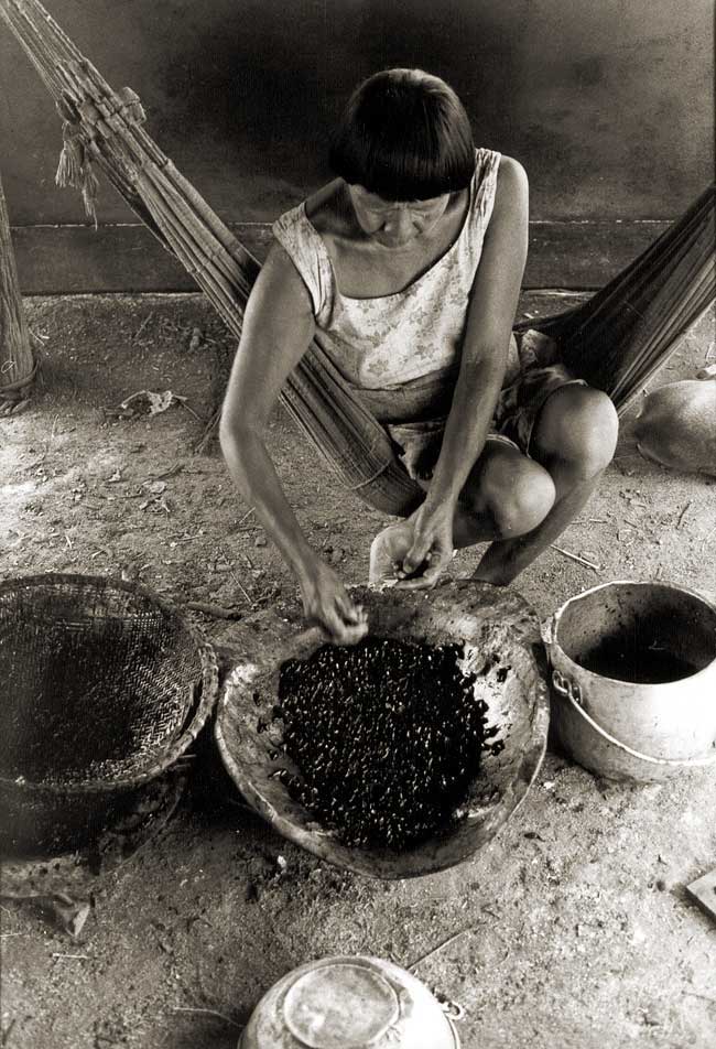 Mulher limpando girinos que comem no início das chuvas. A variedade do sapo é Ami'a. Foto: Antônio Carlos Moura, s/d.