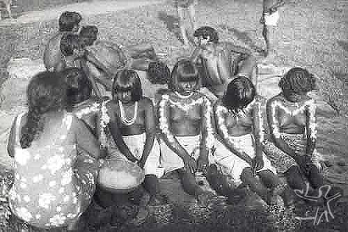 Jovens iniciadas na festa wihaohawo (festa da moça ou festa do moqueado),realizada durante a visita dos Tembé do Guamá ao Gurupi. Foto: Virgínia Valadão,1983