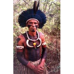 tingui-boto