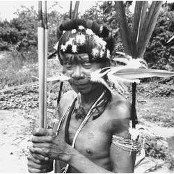 Tiriyo