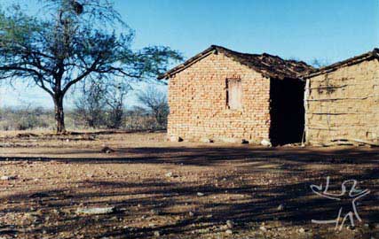Caatinga em época de estiagem. Foto: Ugo Maia, 1998.