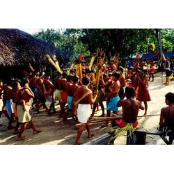 Foto: Xaky Sidronio, 2000. waimiri_22