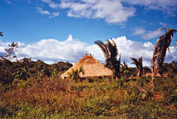 Umana (casa coletiva) da comunidade Waiwai do Jatapuzinho (RR). Foto: Evelyn Schuler, 2002.
