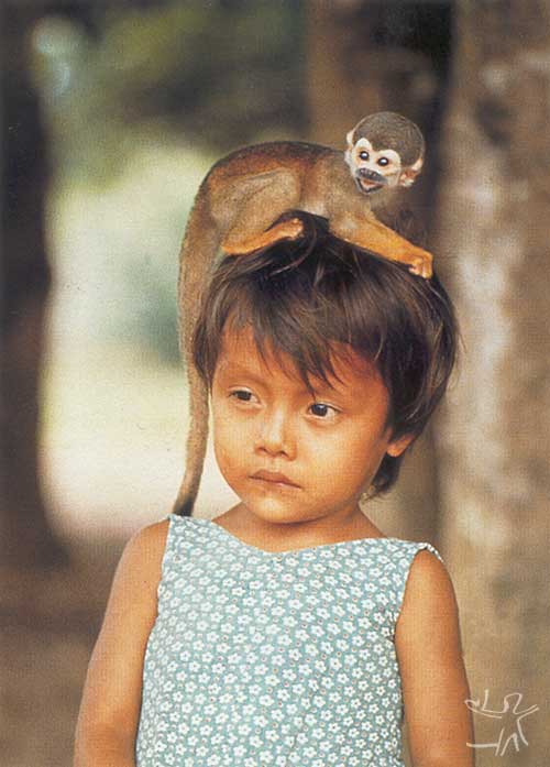 Xin Narao com macaco. Aldeia Ocaia, Rio Negro. Foto: Rômulo Fialdini, 1987