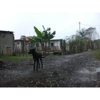 Fabiano Lucio