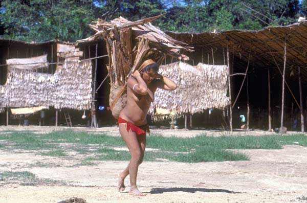 Yanomami Food