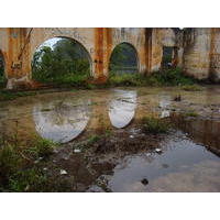 Petra Ramos