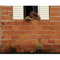 Observando