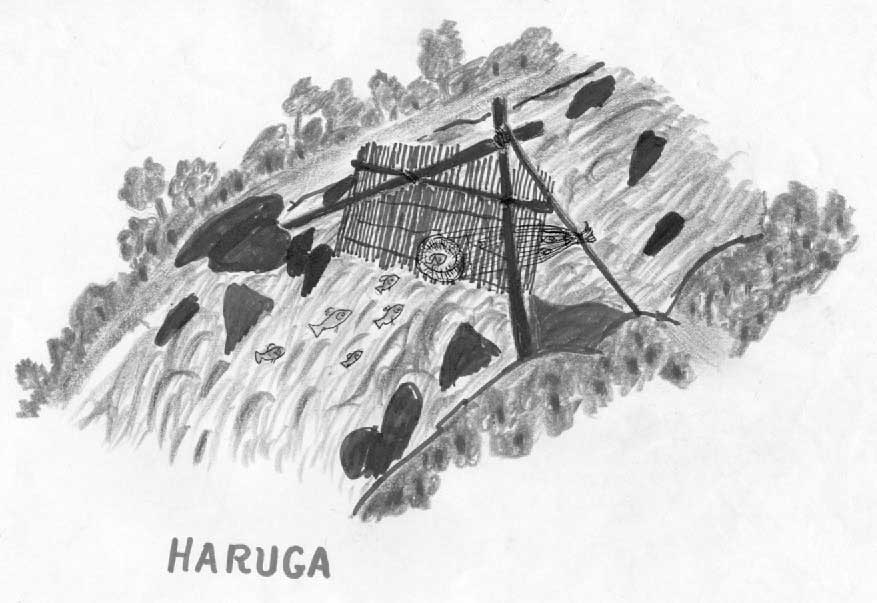 Manejo dos rios. Produção da Escola Tuyuka. Desenho: Higino Meira, 2000.