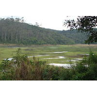 Braço da Billings